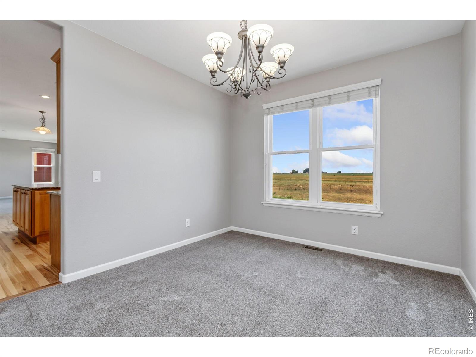 MLS Image #7 for 2528  white wing road,johnstown, Colorado