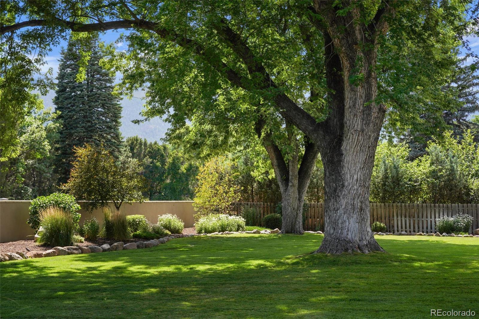 MLS Image #5 for 24  pourtales road,colorado springs, Colorado