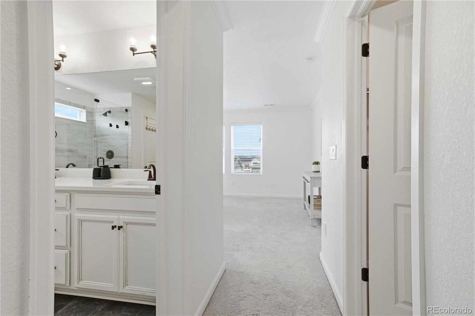 MLS Image #19 for 17409  birds foot avenue,parker, Colorado