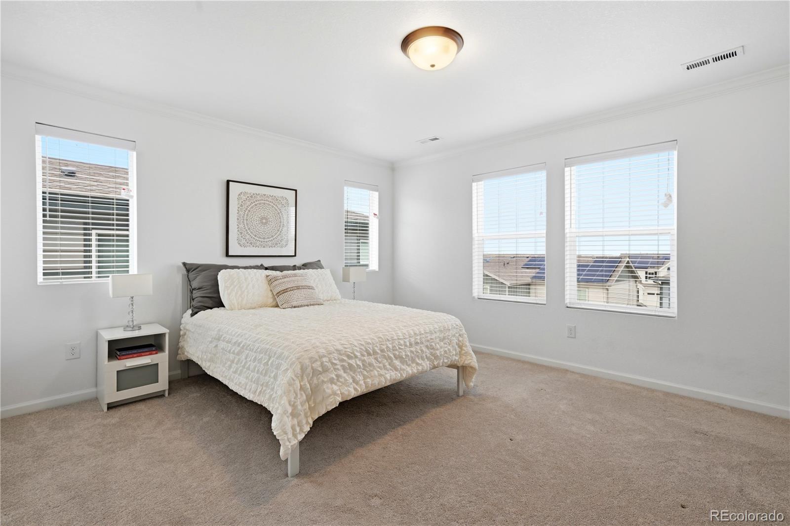 MLS Image #22 for 17409  birds foot avenue,parker, Colorado