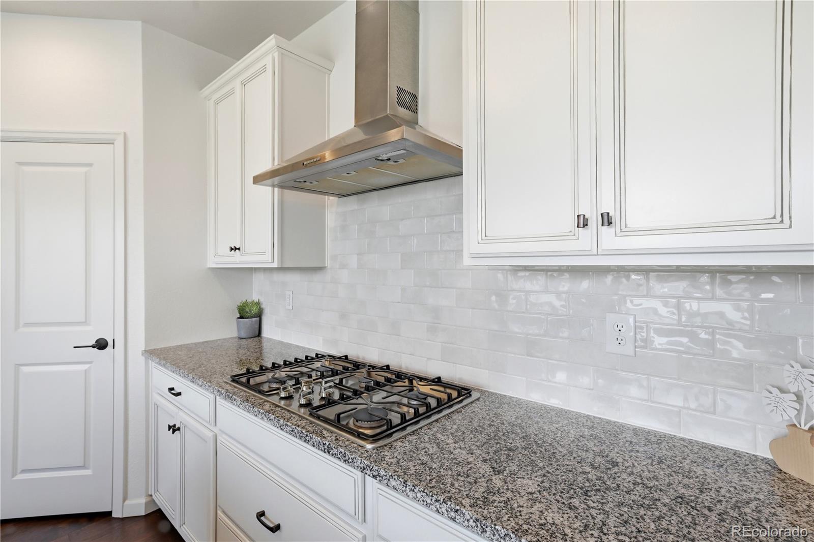 MLS Image #5 for 17409  birds foot avenue,parker, Colorado