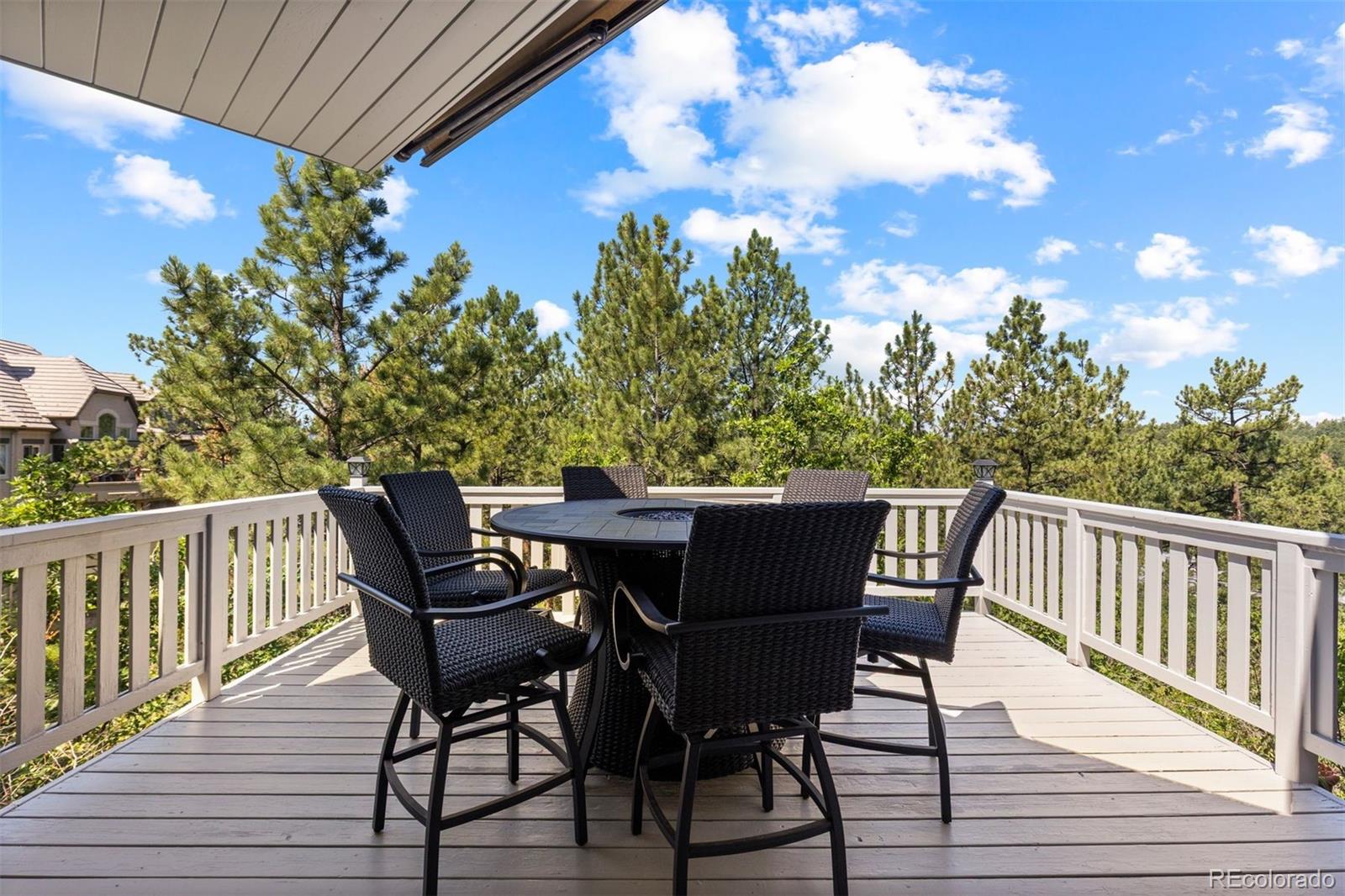 MLS Image #10 for 347  silver cloud place,castle rock, Colorado