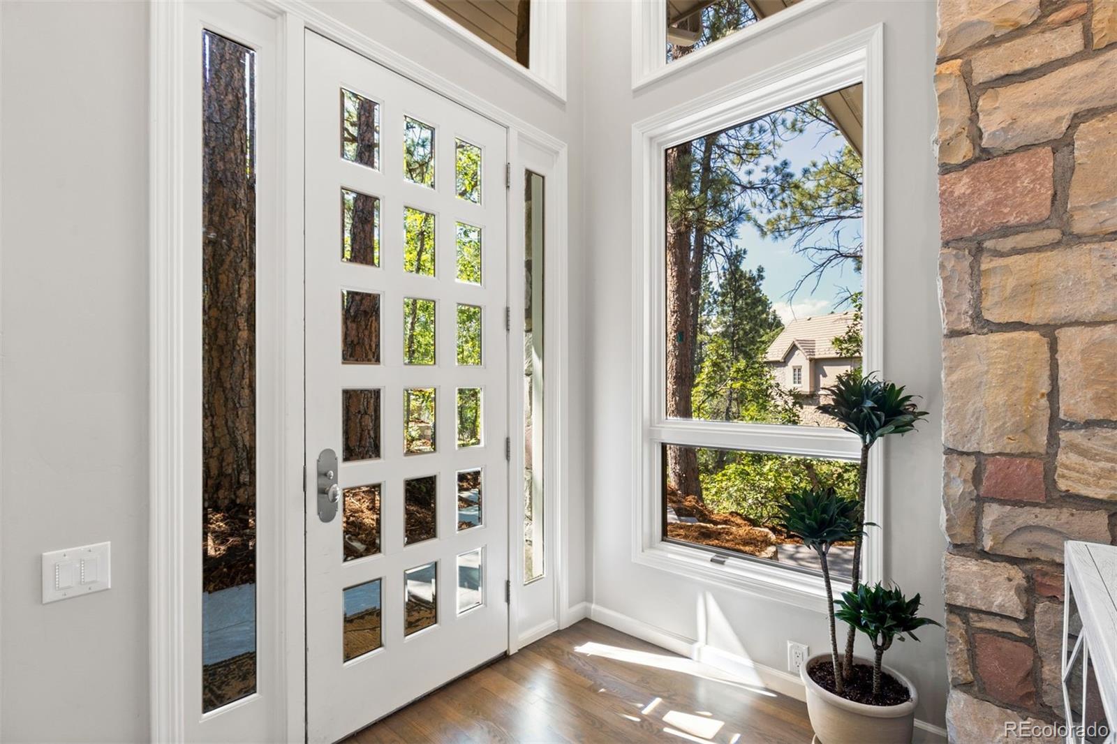 MLS Image #16 for 347  silver cloud place,castle rock, Colorado