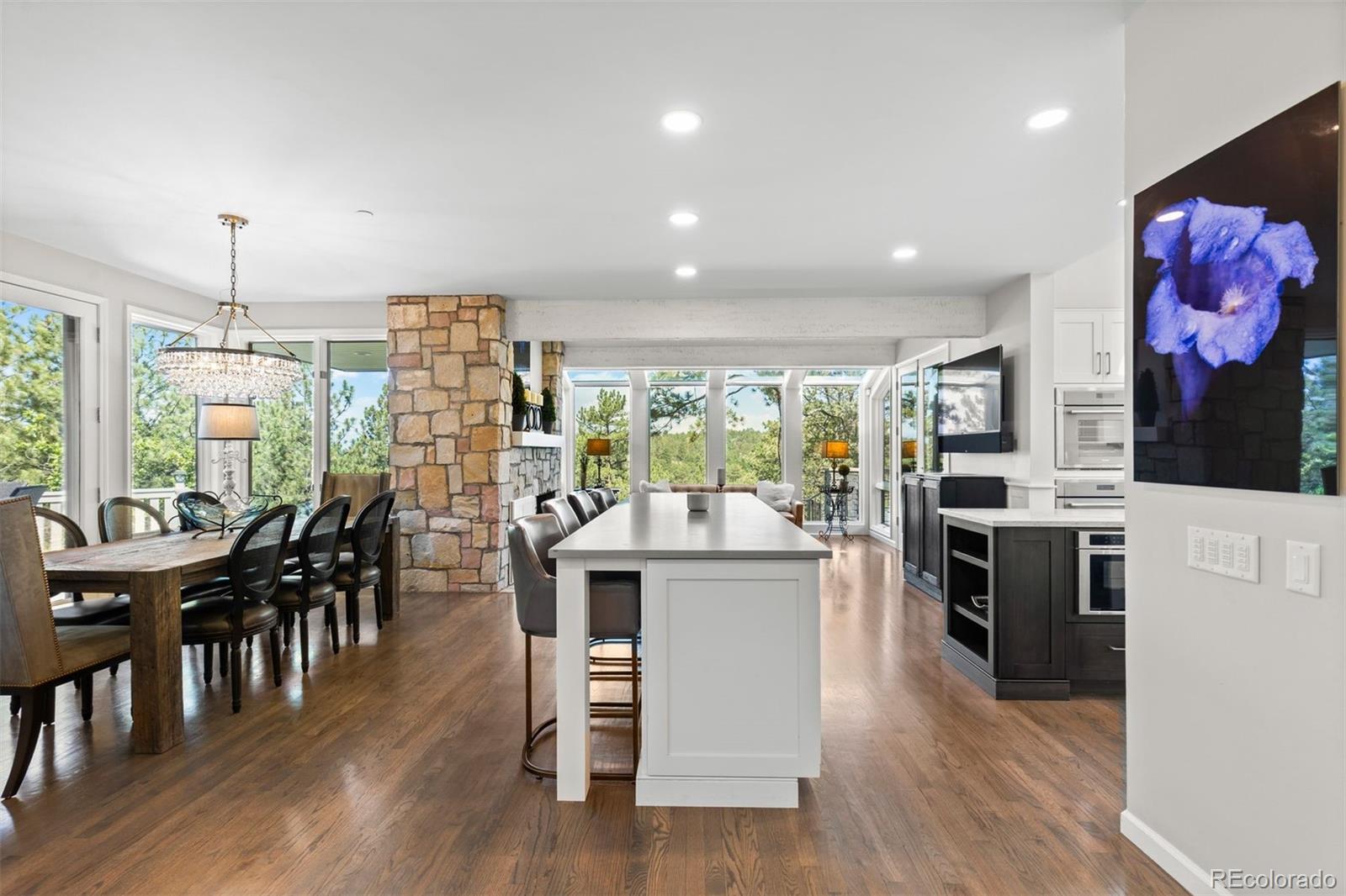 MLS Image #21 for 347  silver cloud place,castle rock, Colorado