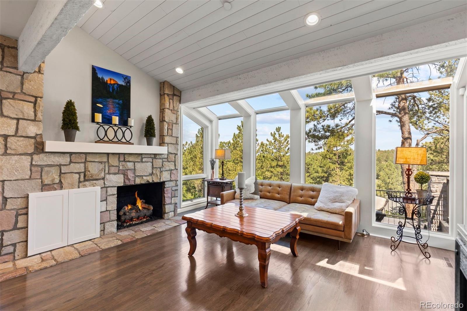 MLS Image #23 for 347  silver cloud place,castle rock, Colorado