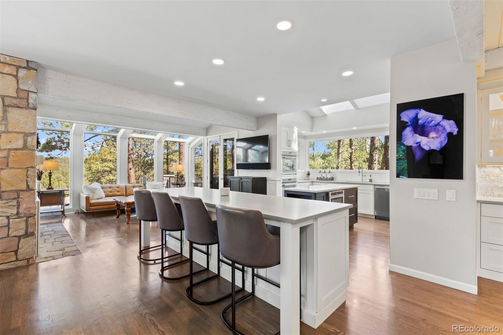 MLS Image #3 for 347  silver cloud place,castle rock, Colorado