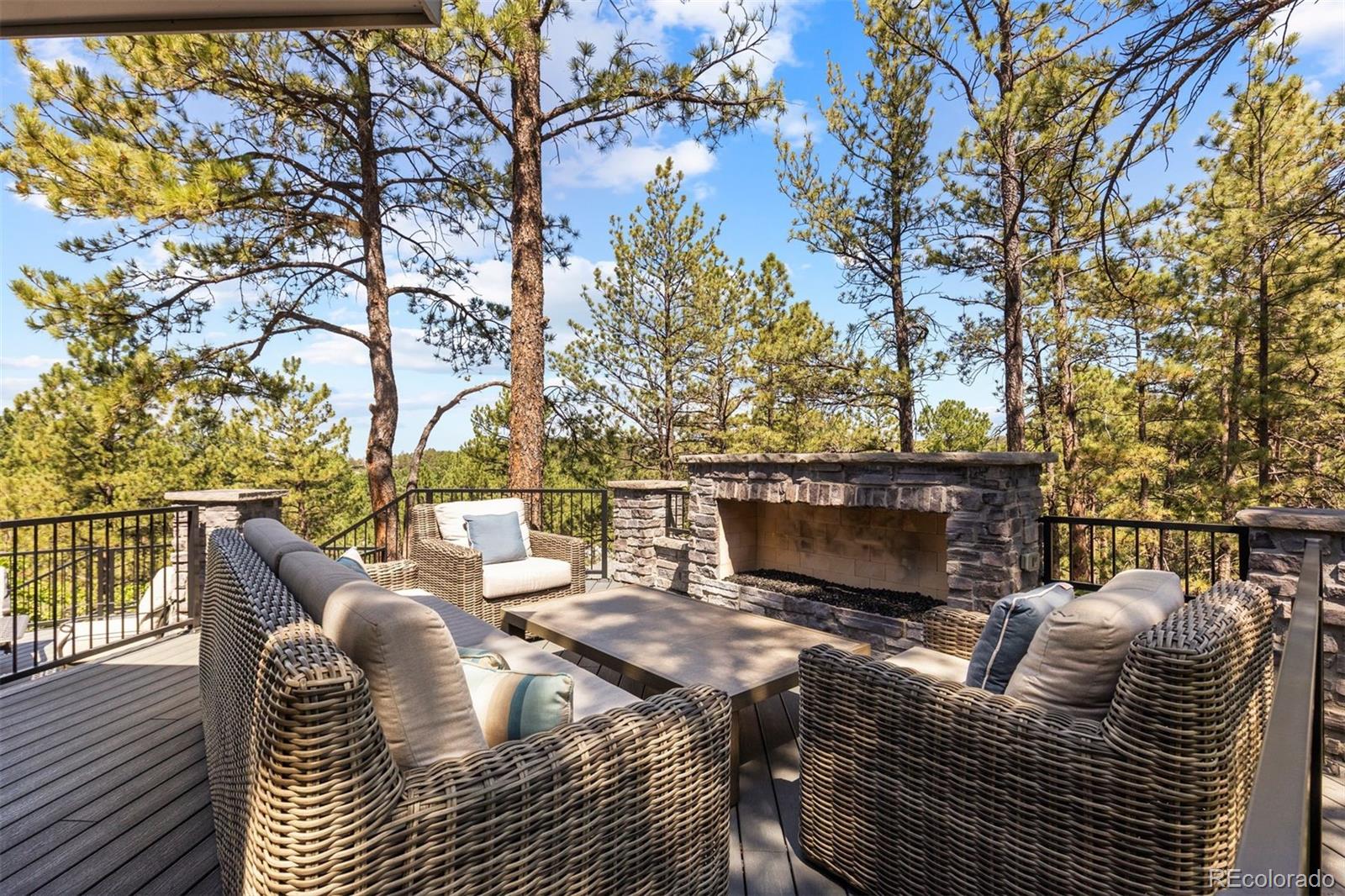 MLS Image #4 for 347  silver cloud place,castle rock, Colorado