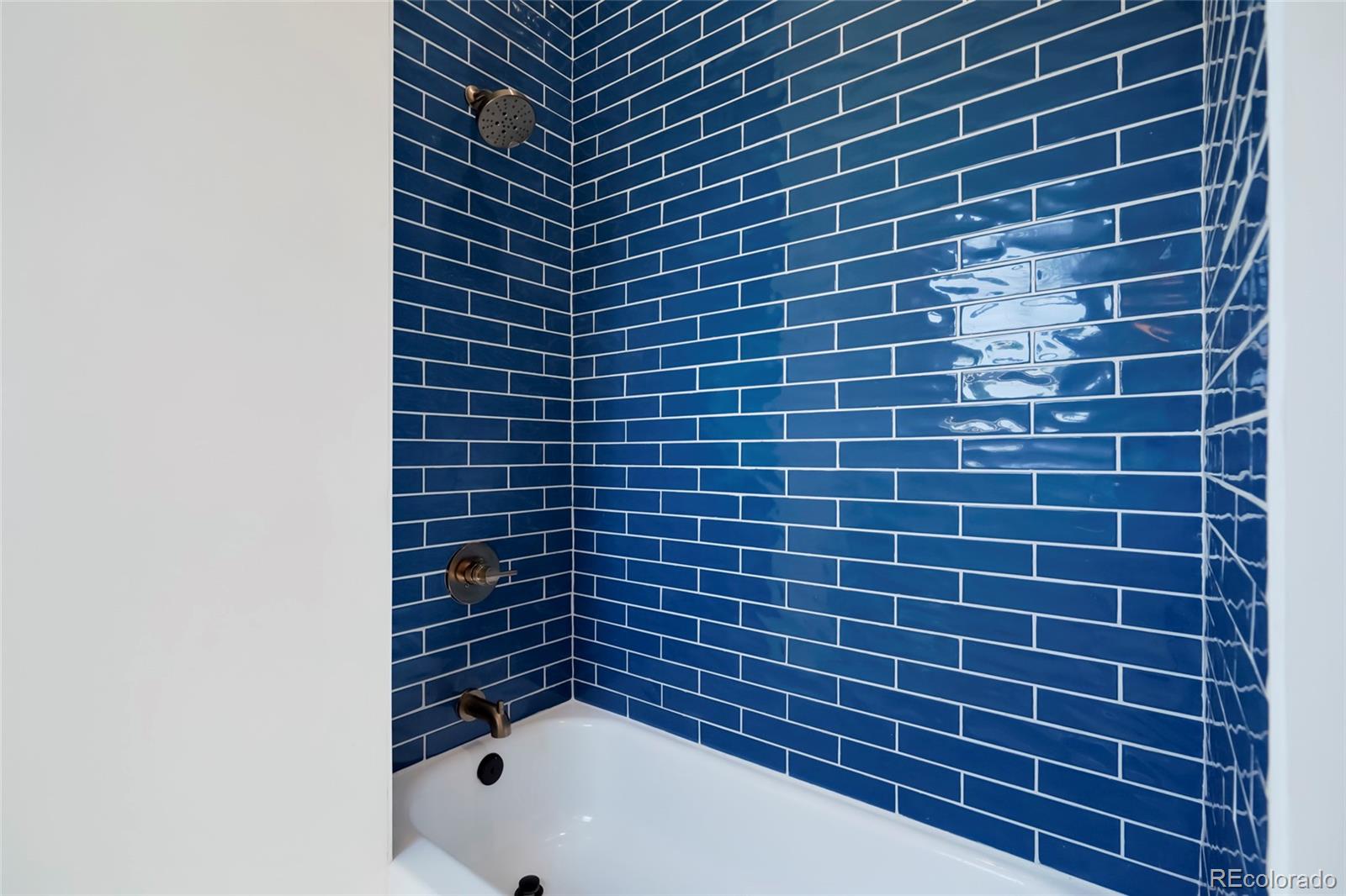 MLS Image #21 for 4736  clayton street,denver, Colorado