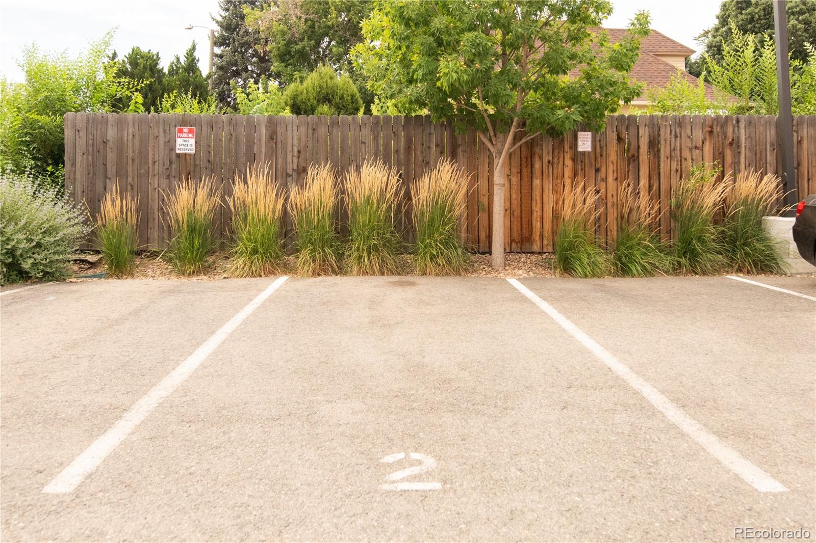 MLS Image #13 for 1495  vrain street,denver, Colorado