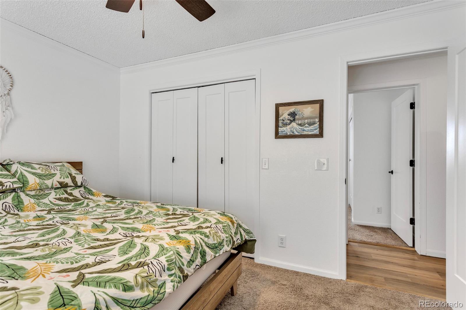 MLS Image #22 for 255  divide view drive,golden, Colorado