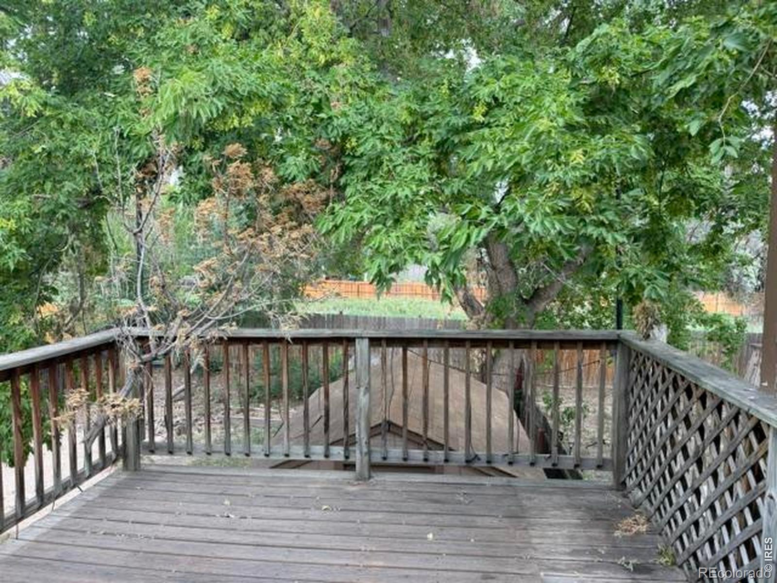 MLS Image #7 for 1140  meadow street,longmont, Colorado