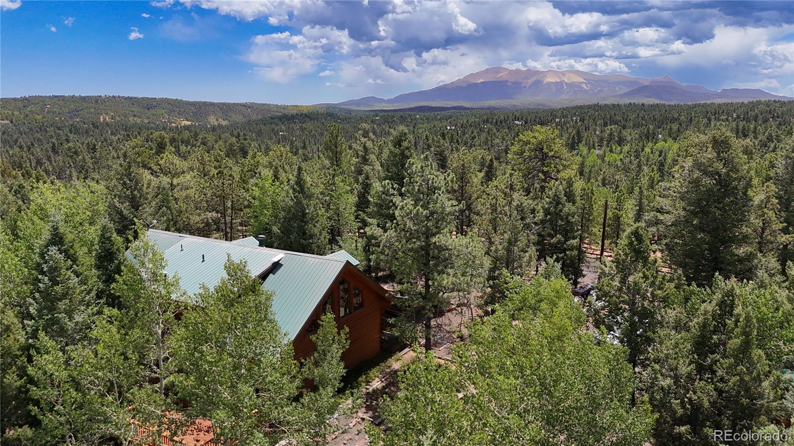 MLS Image #0 for 5527  county road 5 road,divide, Colorado