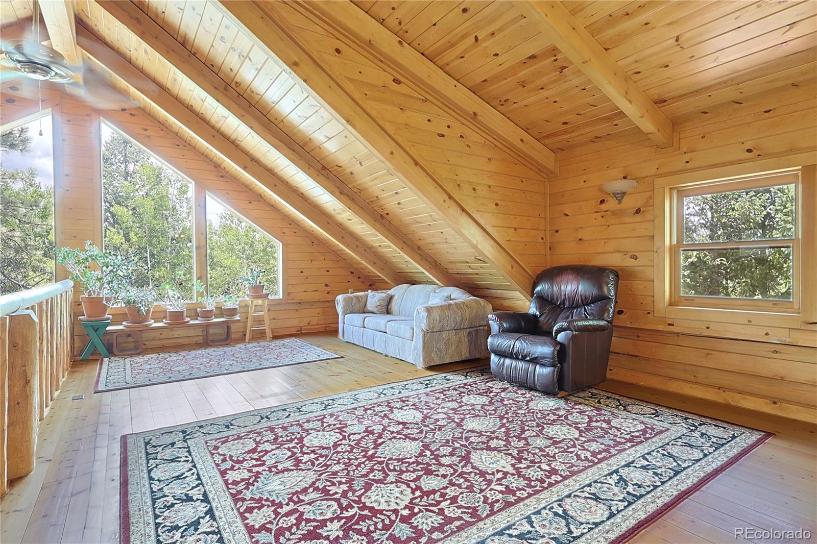 MLS Image #11 for 5527  county road 5 road,divide, Colorado