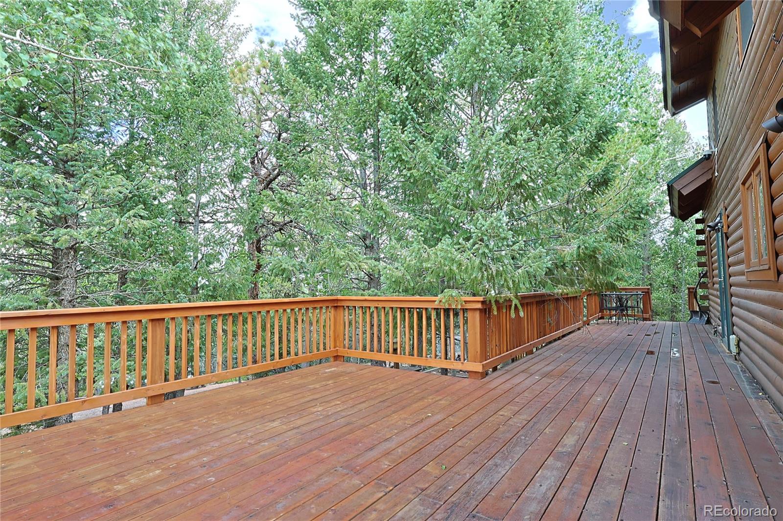 MLS Image #20 for 5527  county road 5 road,divide, Colorado