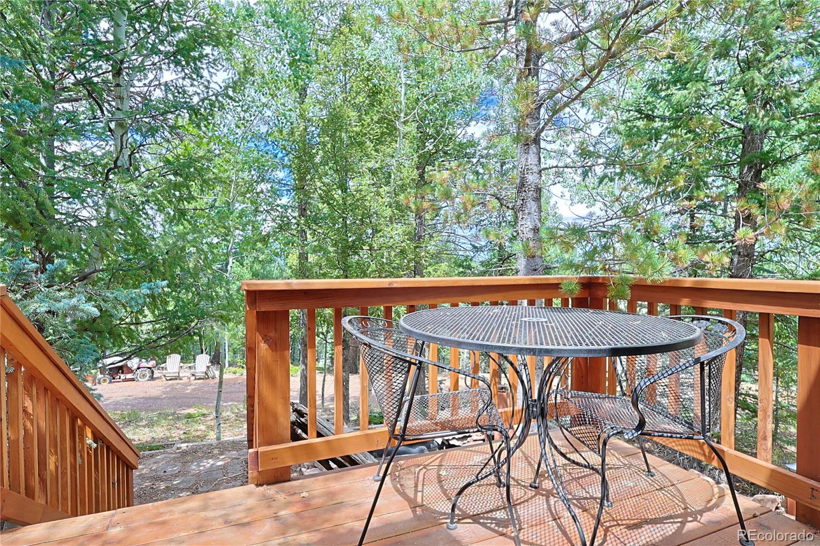 MLS Image #22 for 5527  county road 5 road,divide, Colorado