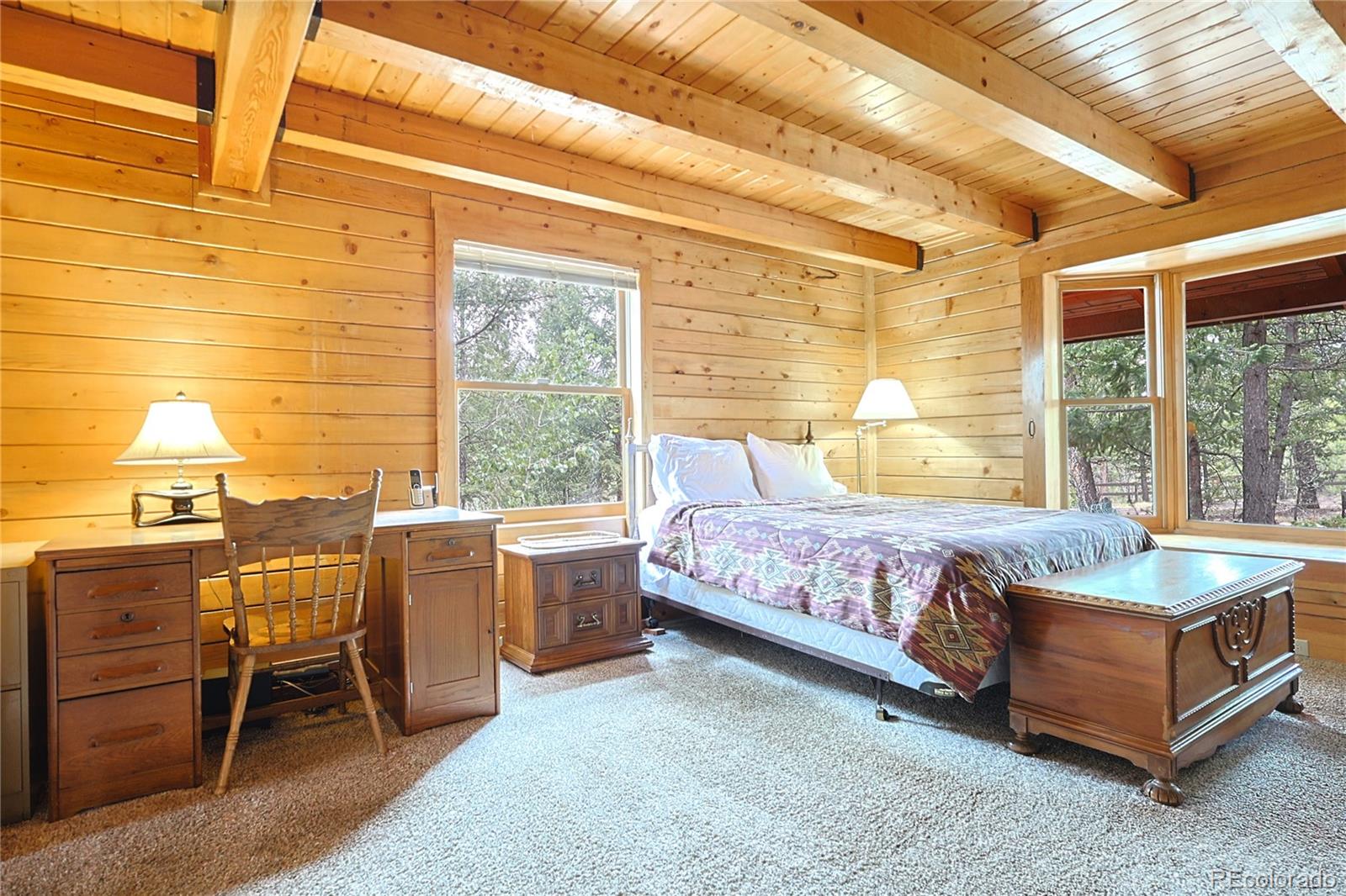 MLS Image #7 for 5527  county road 5 road,divide, Colorado