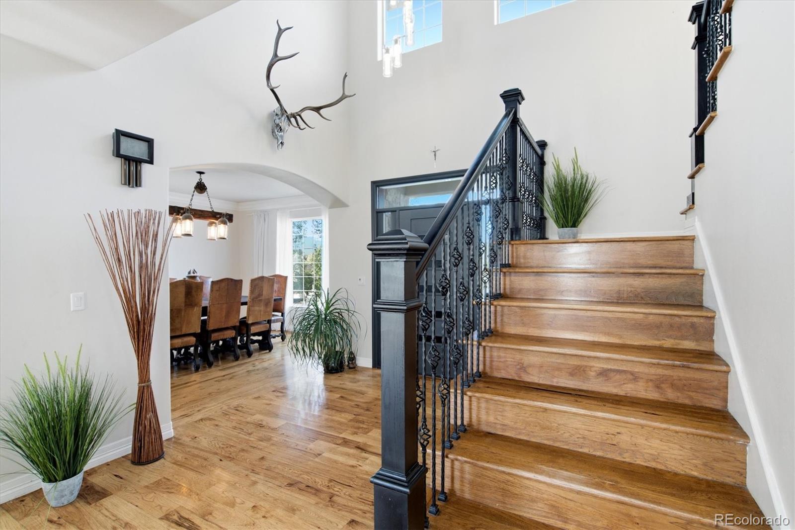 MLS Image #10 for 1097  prickly pear place,colorado springs, Colorado