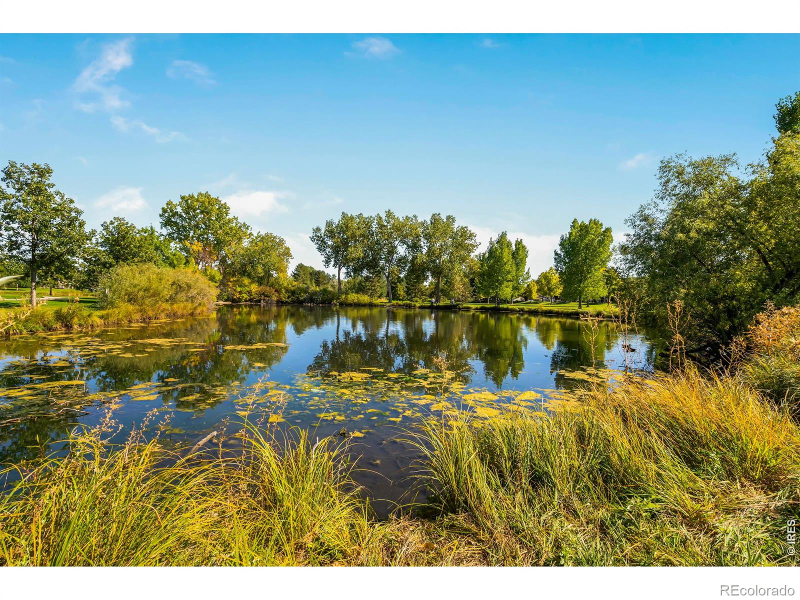 MLS Image #38 for 3842  tradition drive,fort collins, Colorado