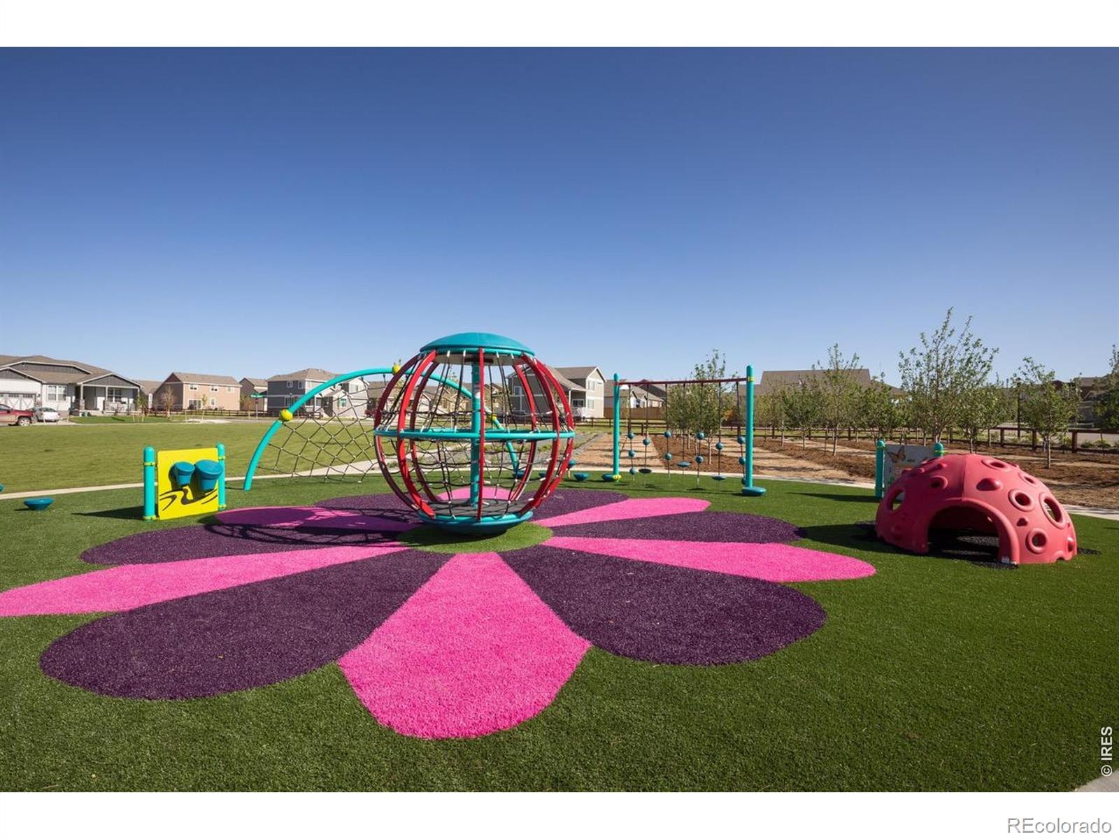 MLS Image #24 for 1613  flourish court,windsor, Colorado