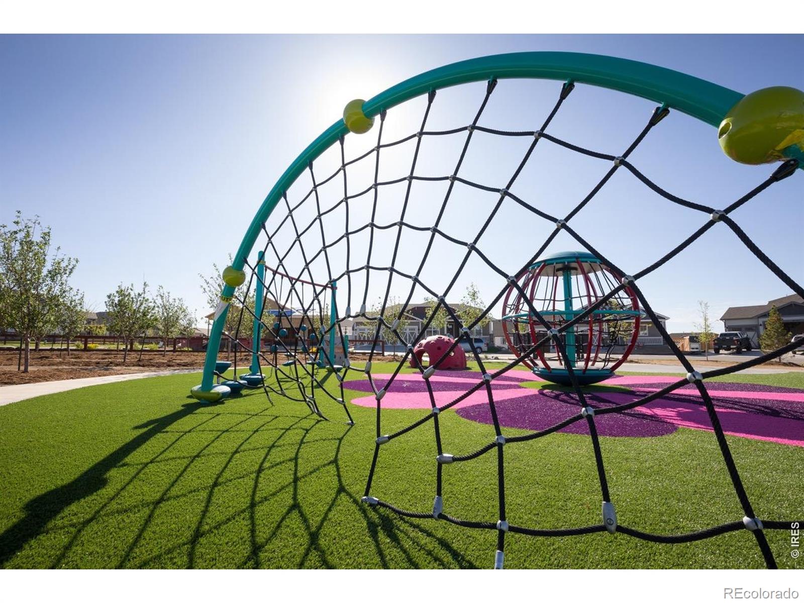 MLS Image #25 for 1613  flourish court,windsor, Colorado