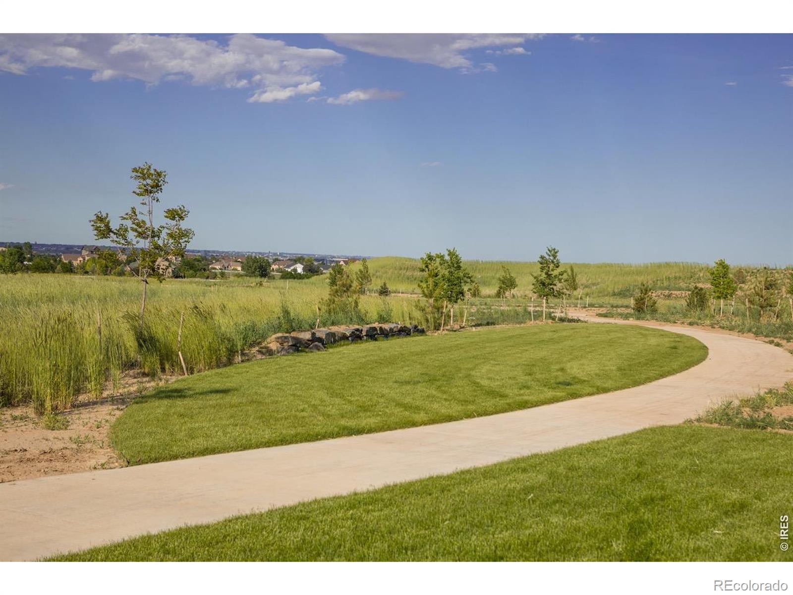 MLS Image #28 for 1613  flourish court,windsor, Colorado