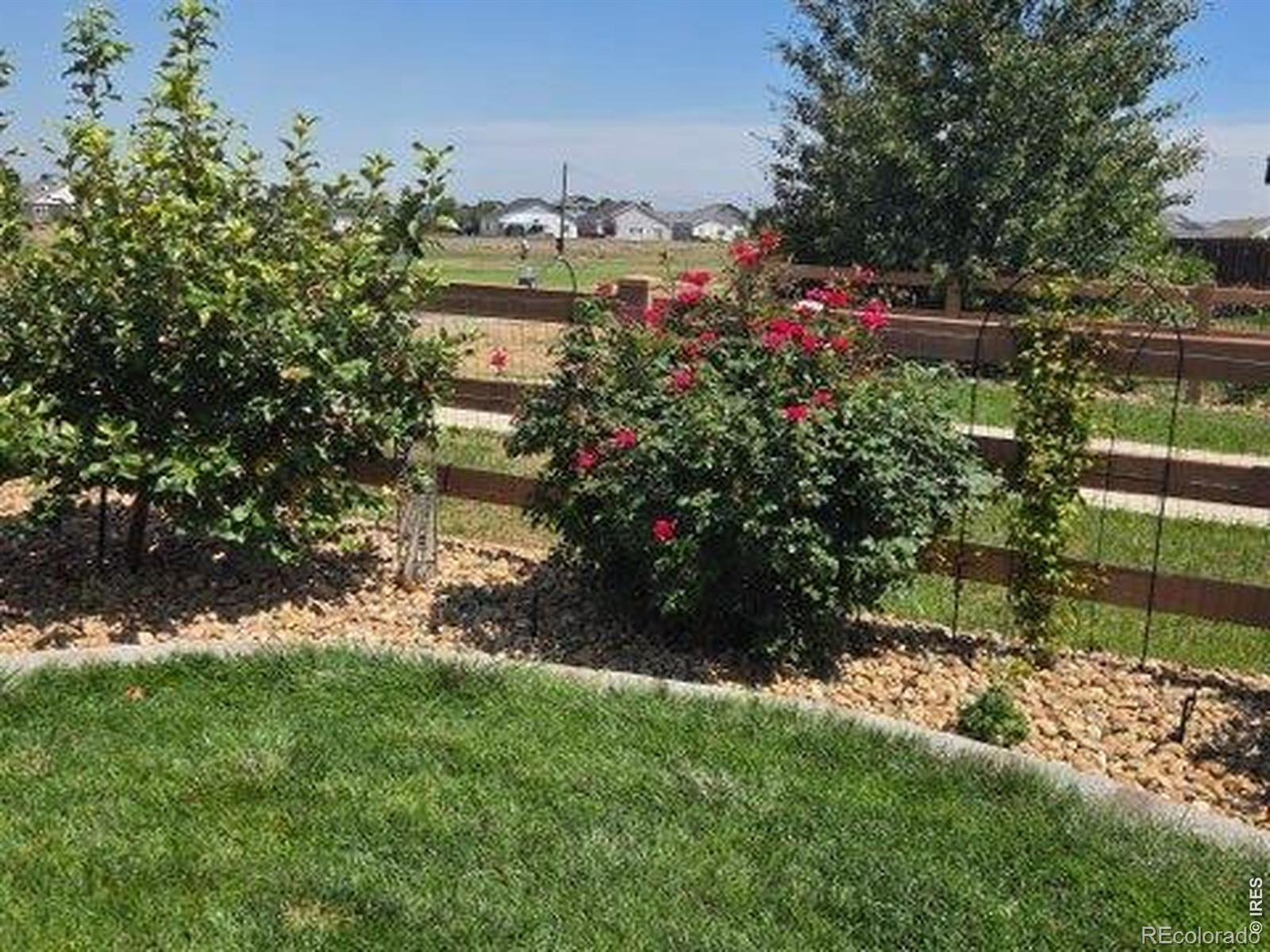 MLS Image #48 for 2005  saddleback drive,milliken, Colorado