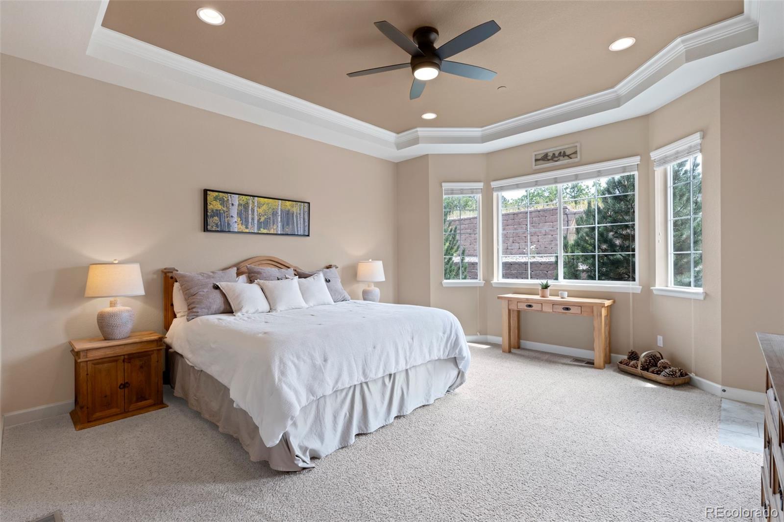 MLS Image #18 for 5577  water oak circle,castle rock, Colorado