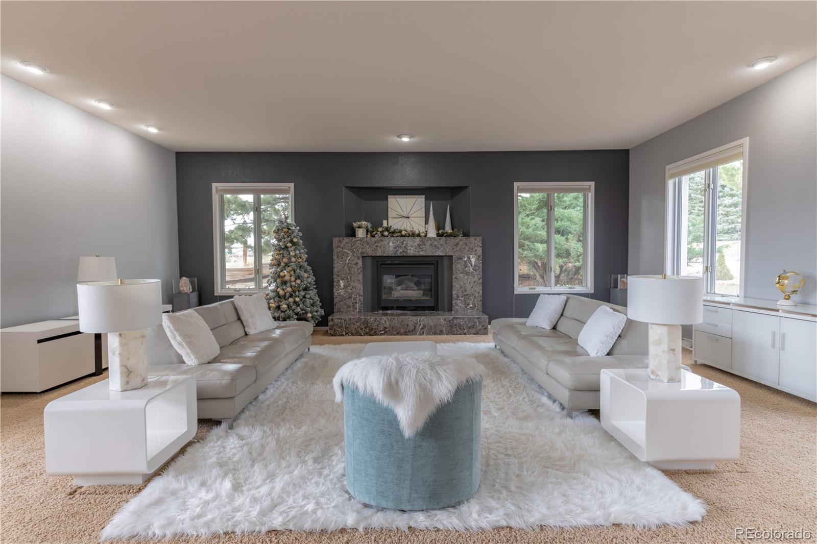 MLS Image #16 for 8095 s oak hill circle,aurora, Colorado