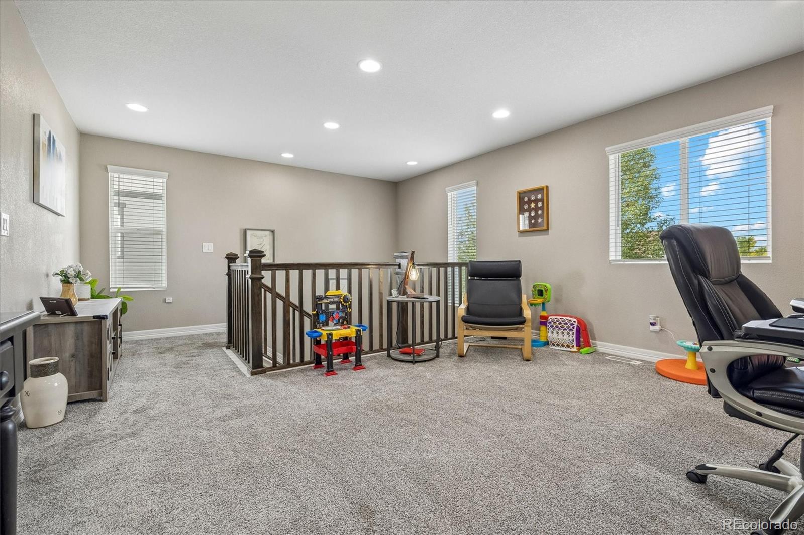 MLS Image #23 for 754  blue teal drive,castle rock, Colorado