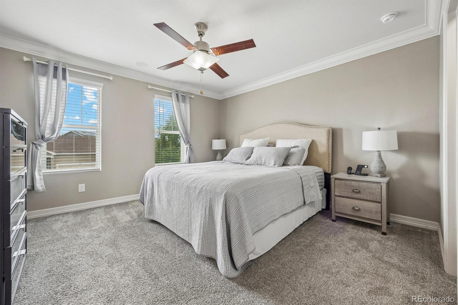 MLS Image #25 for 754  blue teal drive,castle rock, Colorado