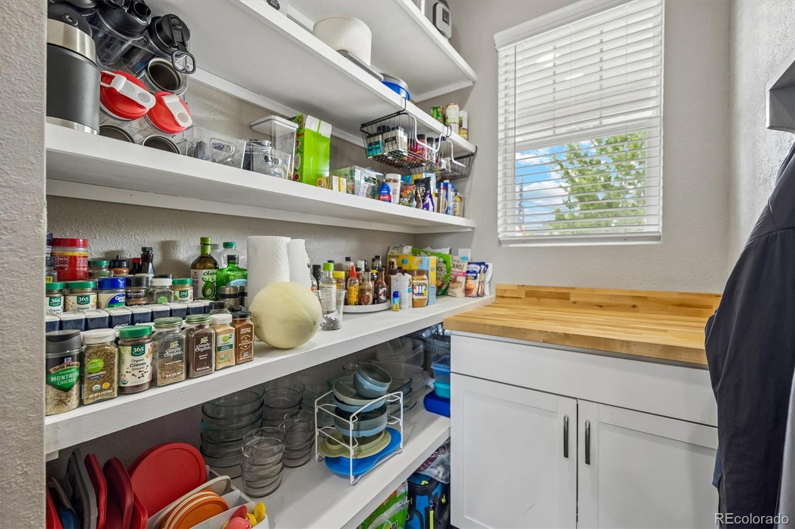 MLS Image #37 for 754  blue teal drive,castle rock, Colorado