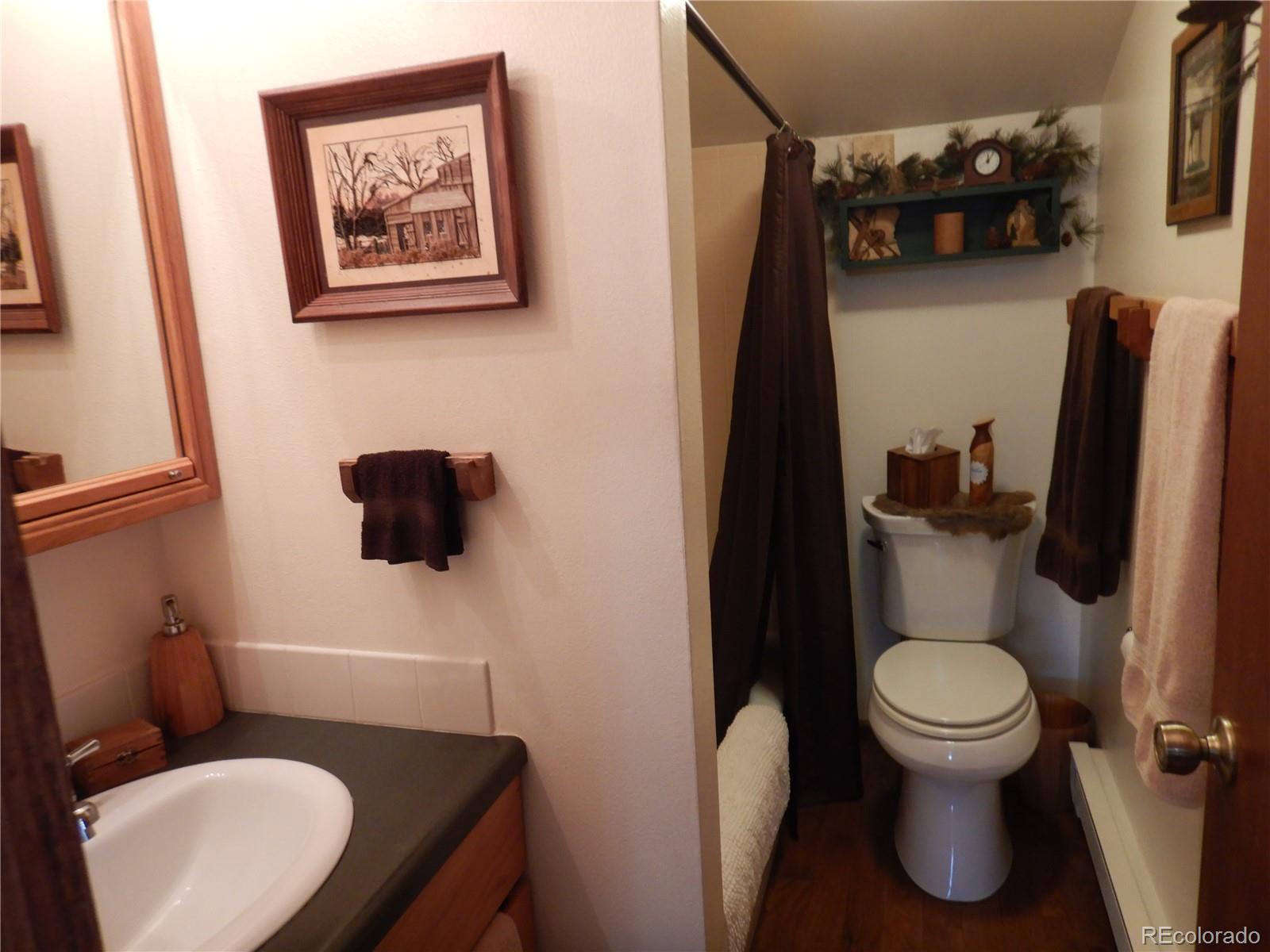 MLS Image #17 for 395  kit carson road,south fork, Colorado
