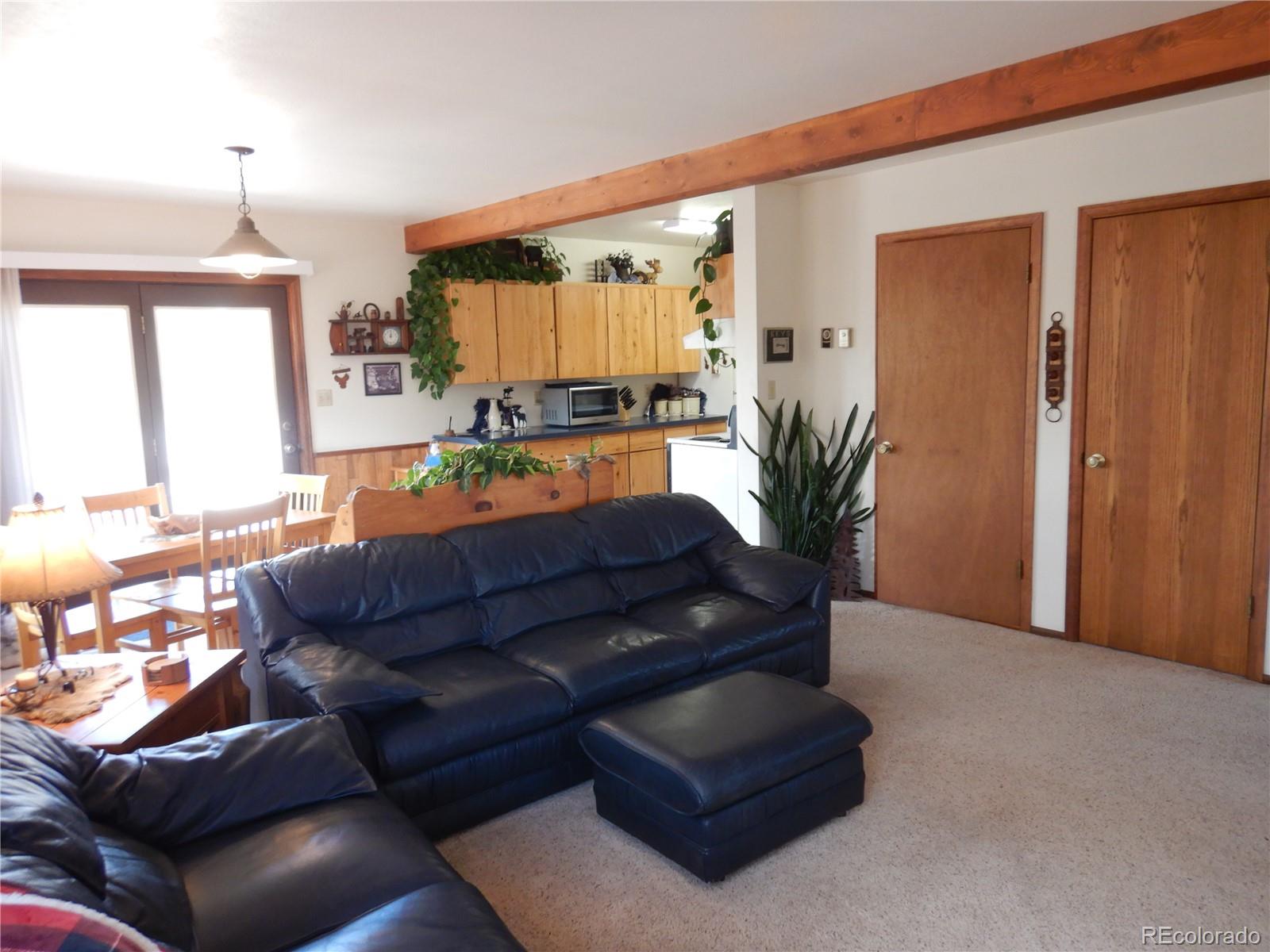 MLS Image #5 for 395  kit carson road,south fork, Colorado