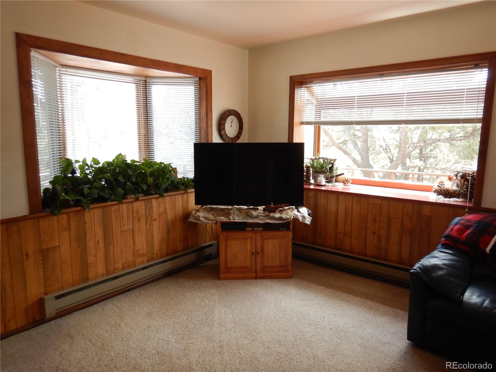 MLS Image #6 for 395  kit carson road,south fork, Colorado