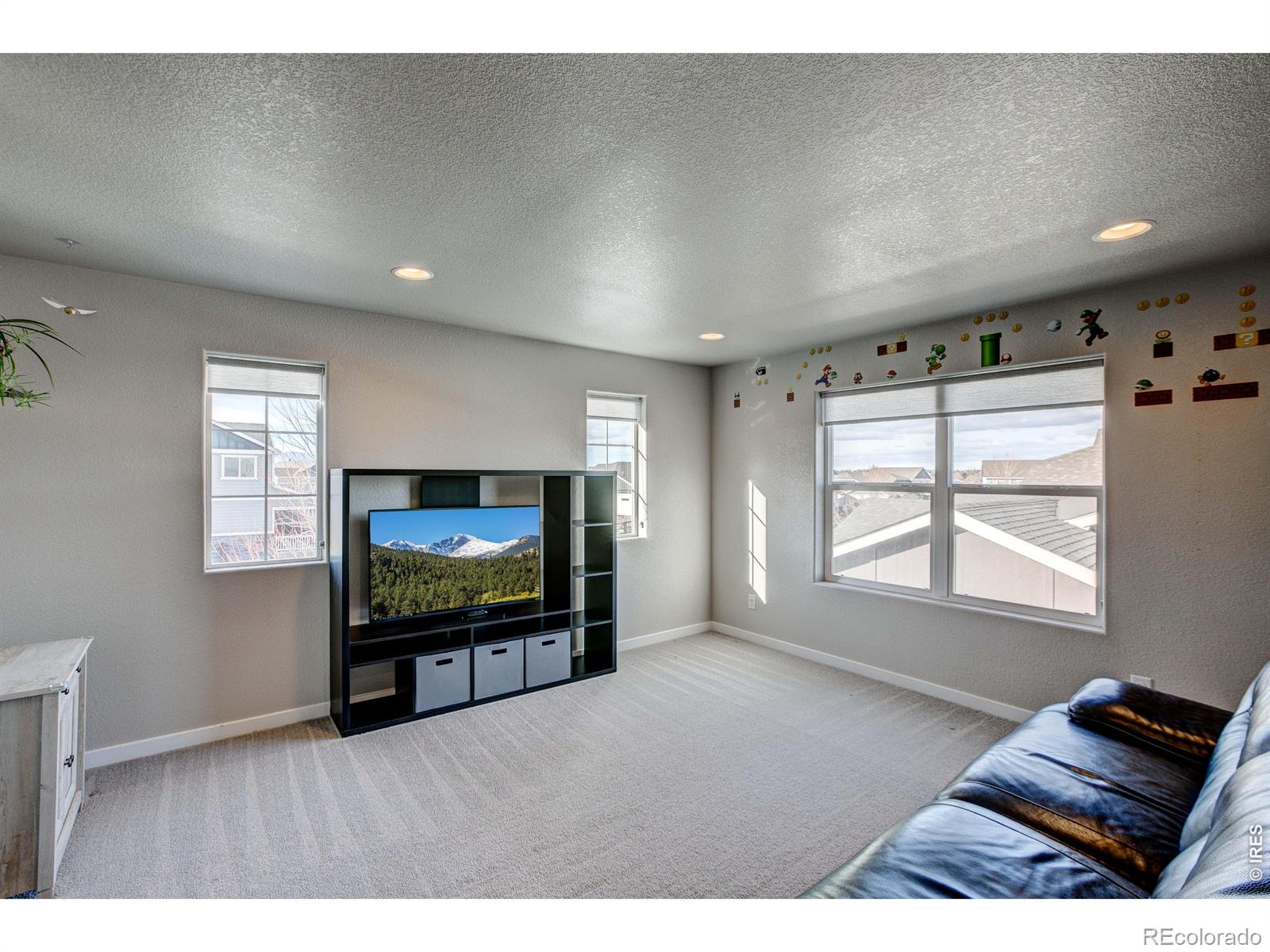 MLS Image #20 for 2137  honeybee drive,windsor, Colorado