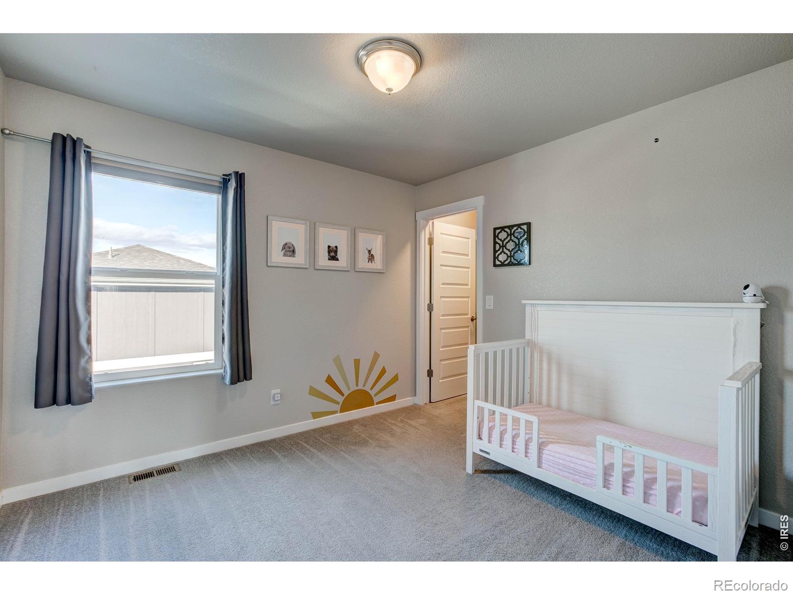 MLS Image #23 for 2137  honeybee drive,windsor, Colorado