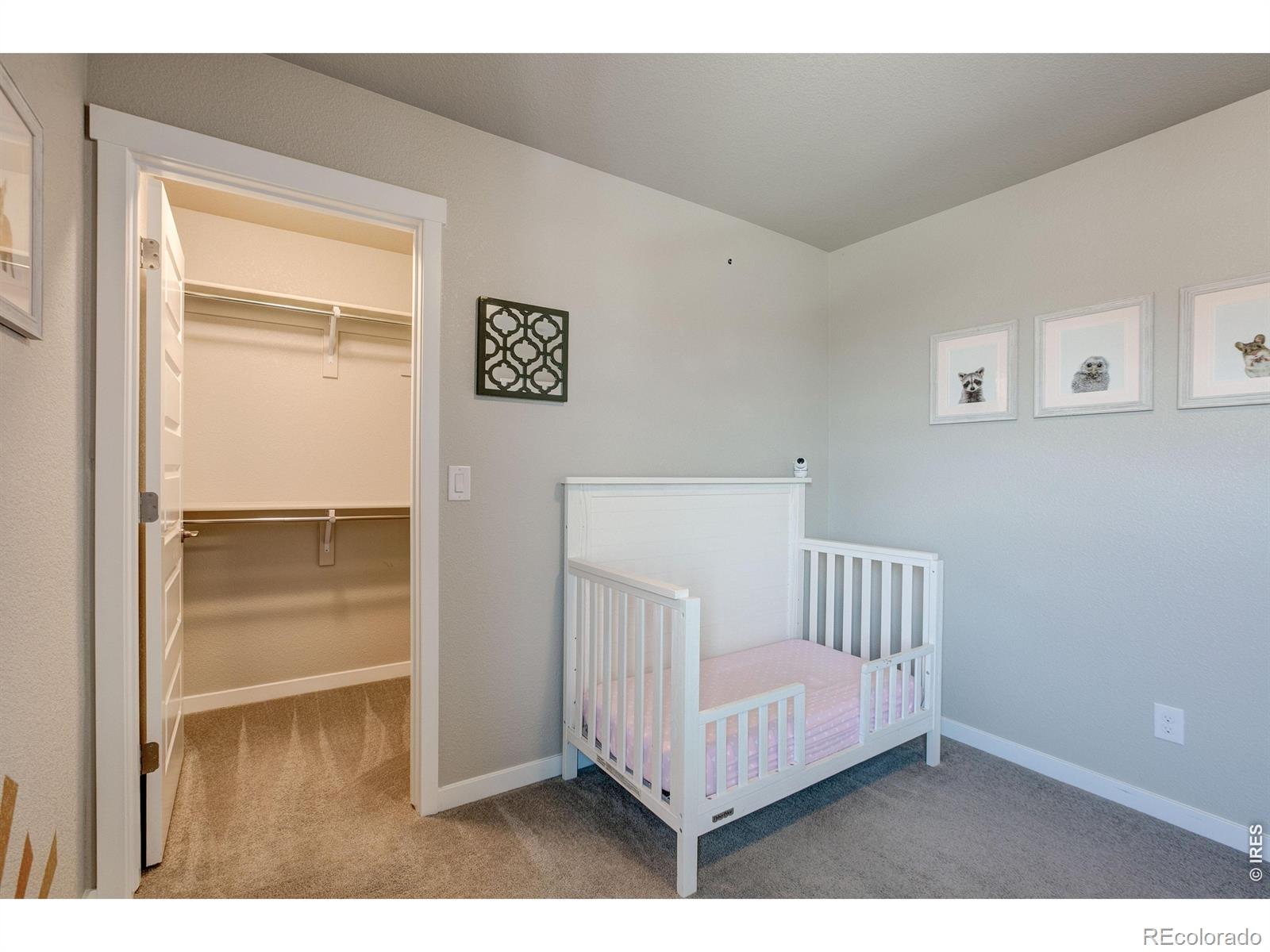 MLS Image #24 for 2137  honeybee drive,windsor, Colorado