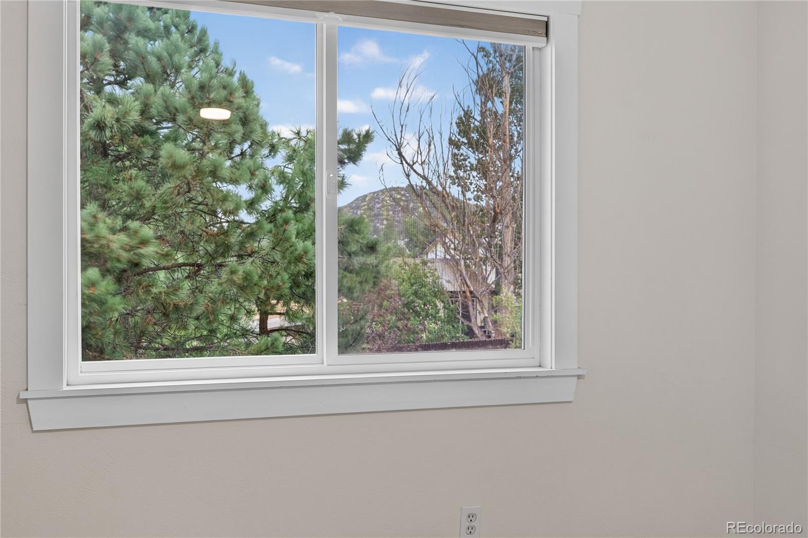 MLS Image #17 for 440 s larkspur drive,castle rock, Colorado
