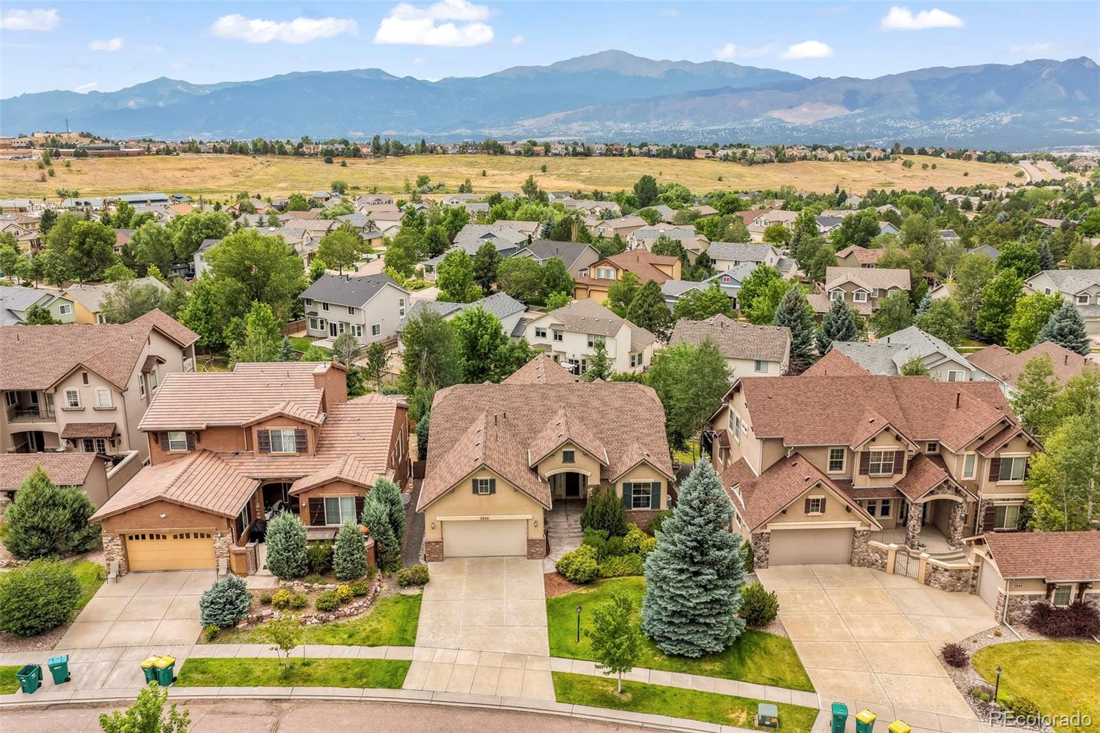 MLS Image #1 for 3605  cherry plum drive,colorado springs, Colorado