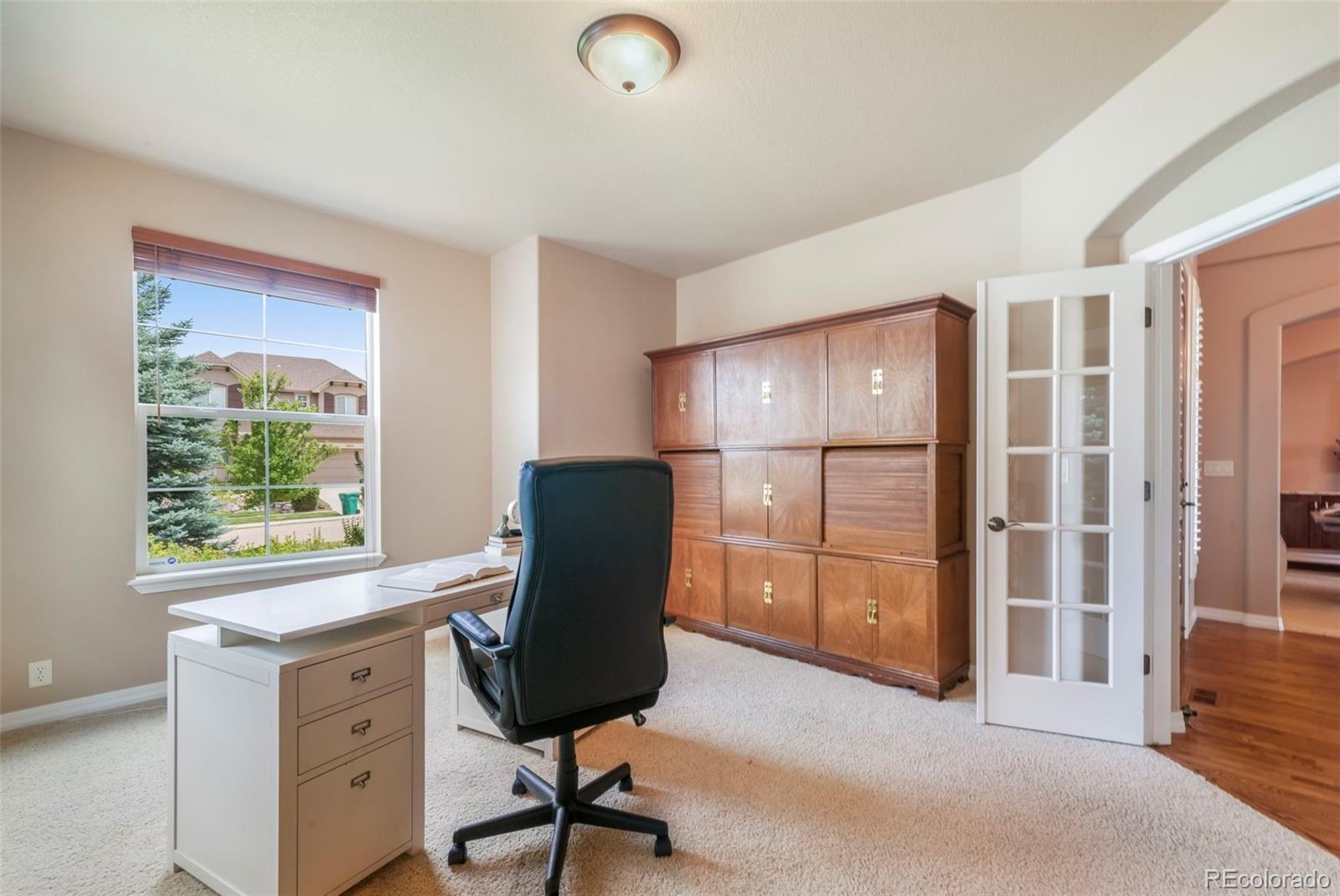 MLS Image #22 for 3605  cherry plum drive,colorado springs, Colorado
