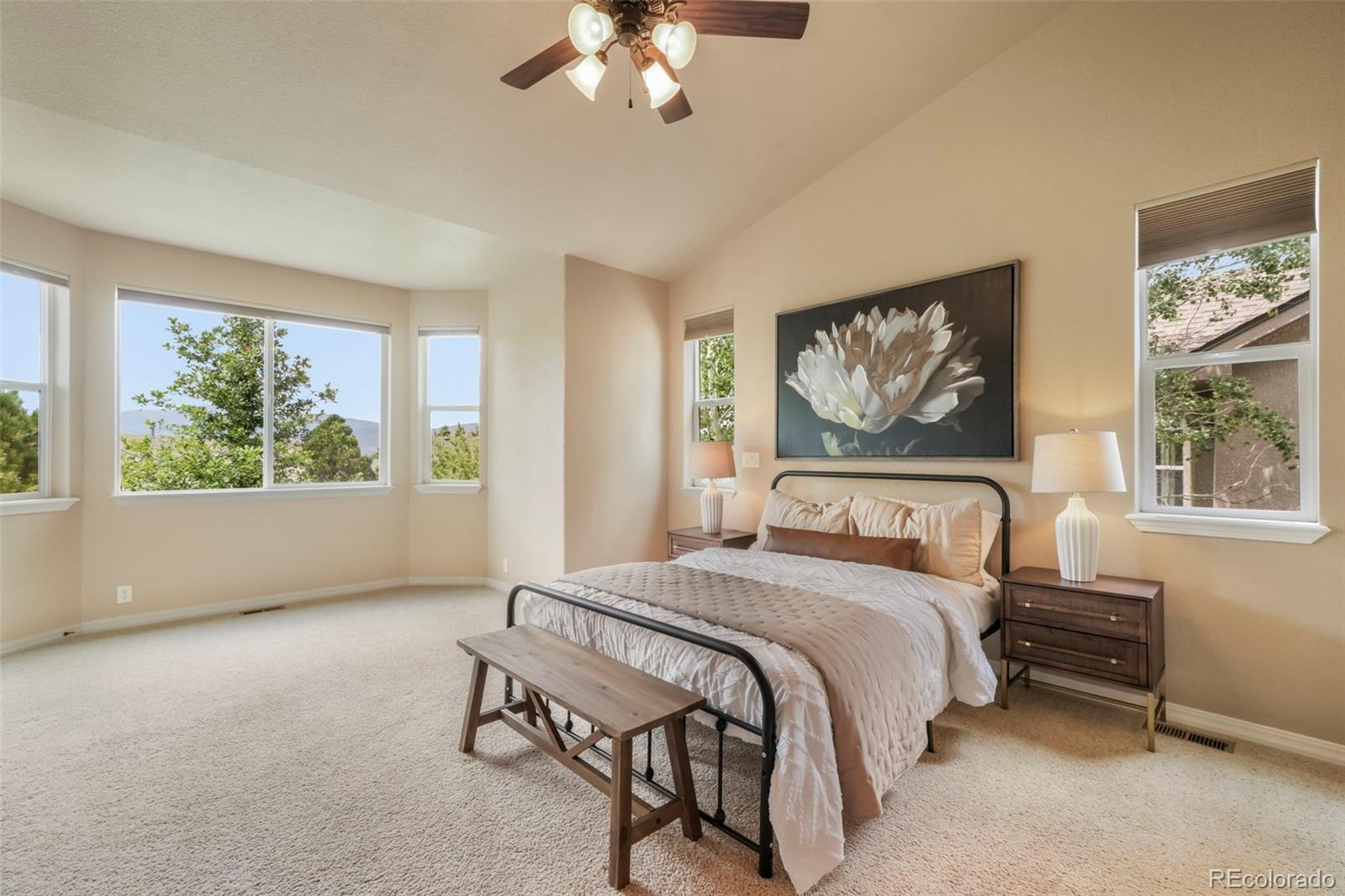 MLS Image #26 for 3605  cherry plum drive,colorado springs, Colorado