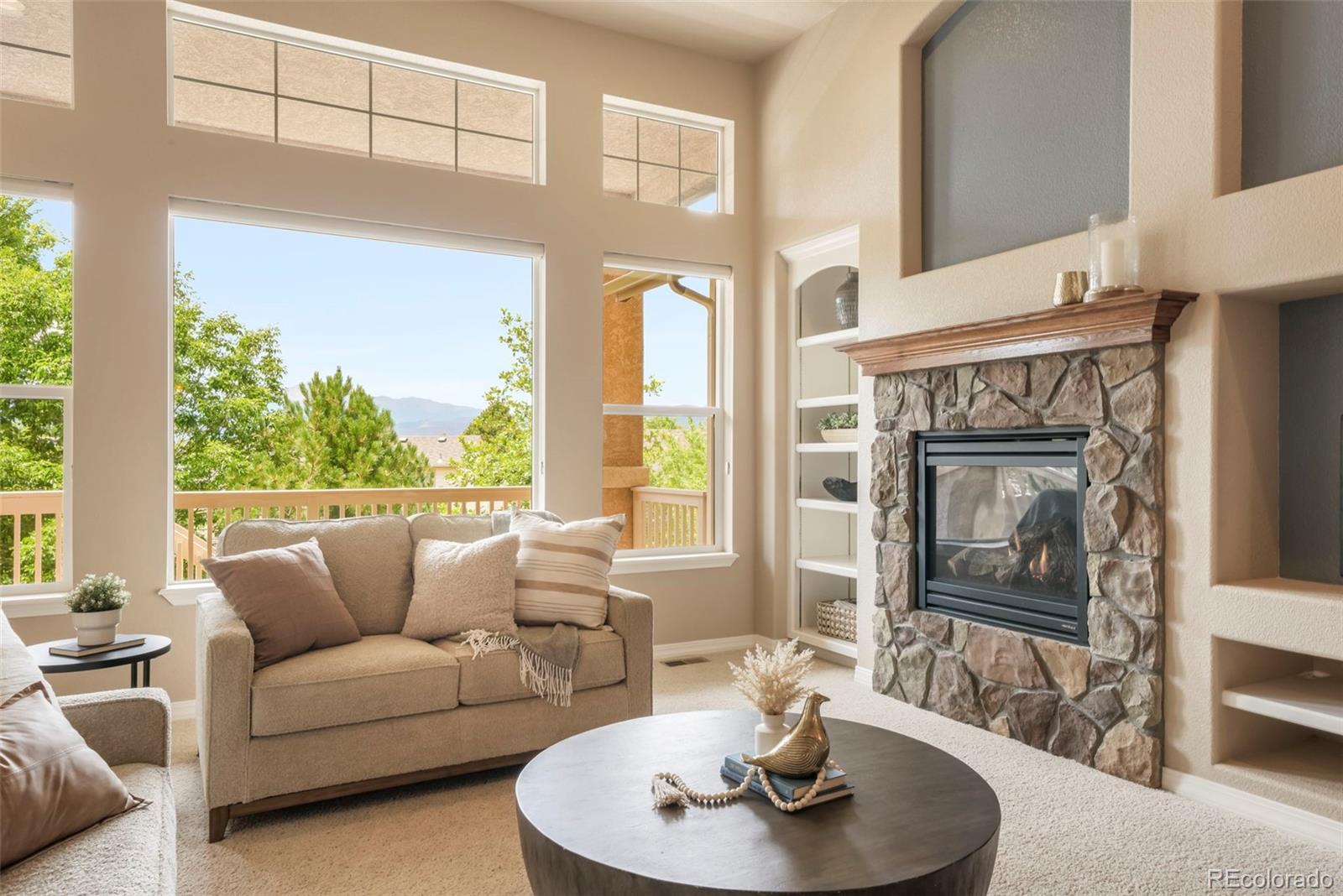 MLS Image #8 for 3605  cherry plum drive,colorado springs, Colorado