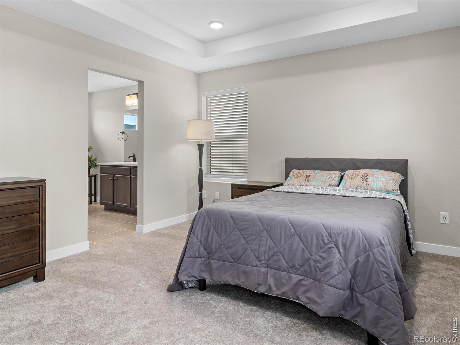 MLS Image #20 for 4764  kipp place,brighton, Colorado