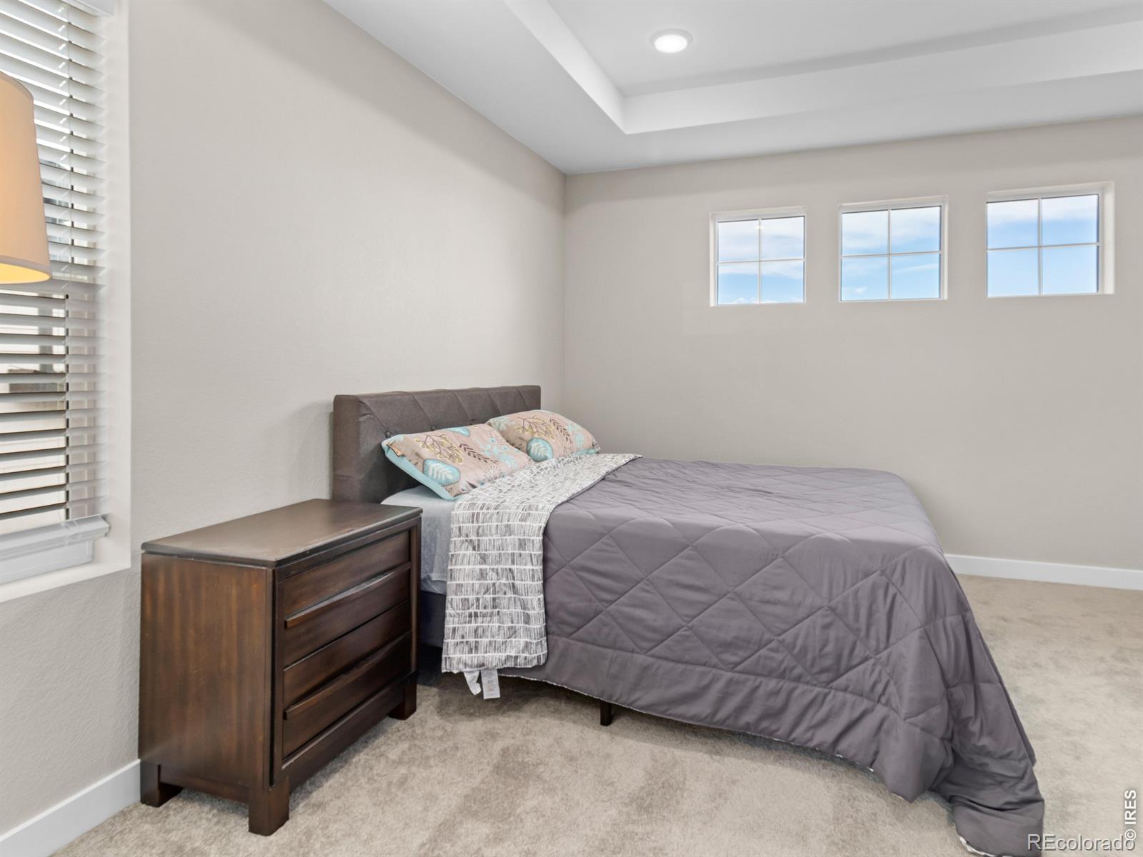 MLS Image #22 for 4764  kipp place,brighton, Colorado
