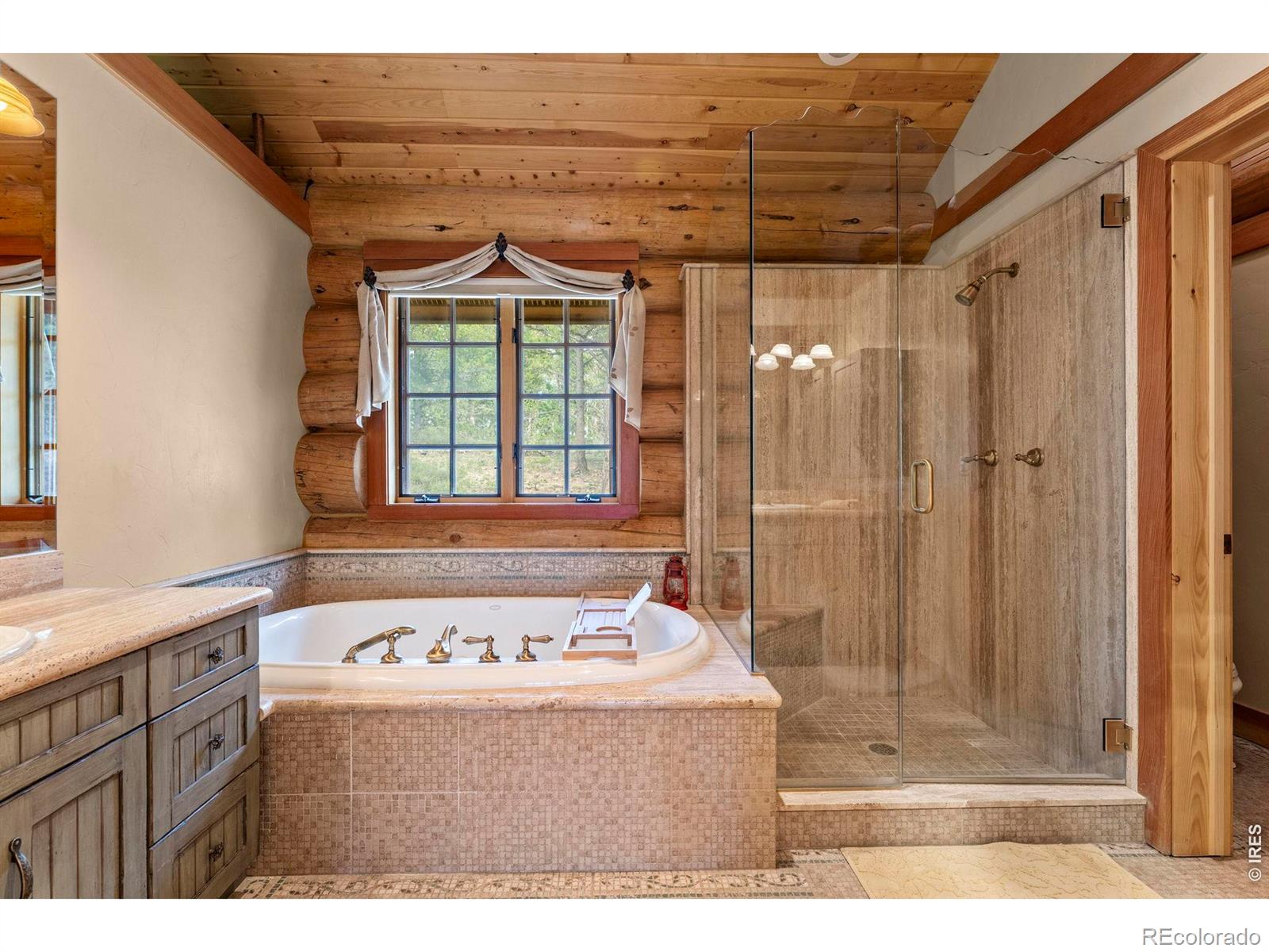 MLS Image #18 for 1455  ridge road,nederland, Colorado