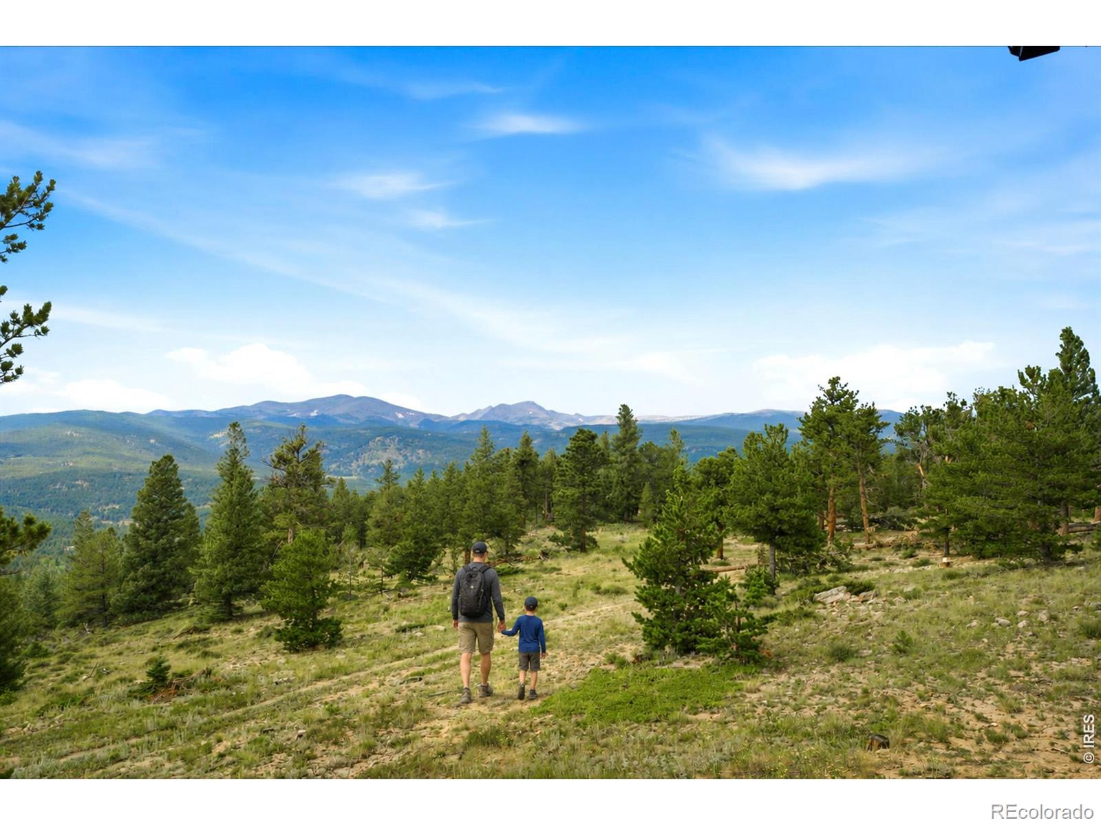MLS Image #33 for 1455  ridge road,nederland, Colorado