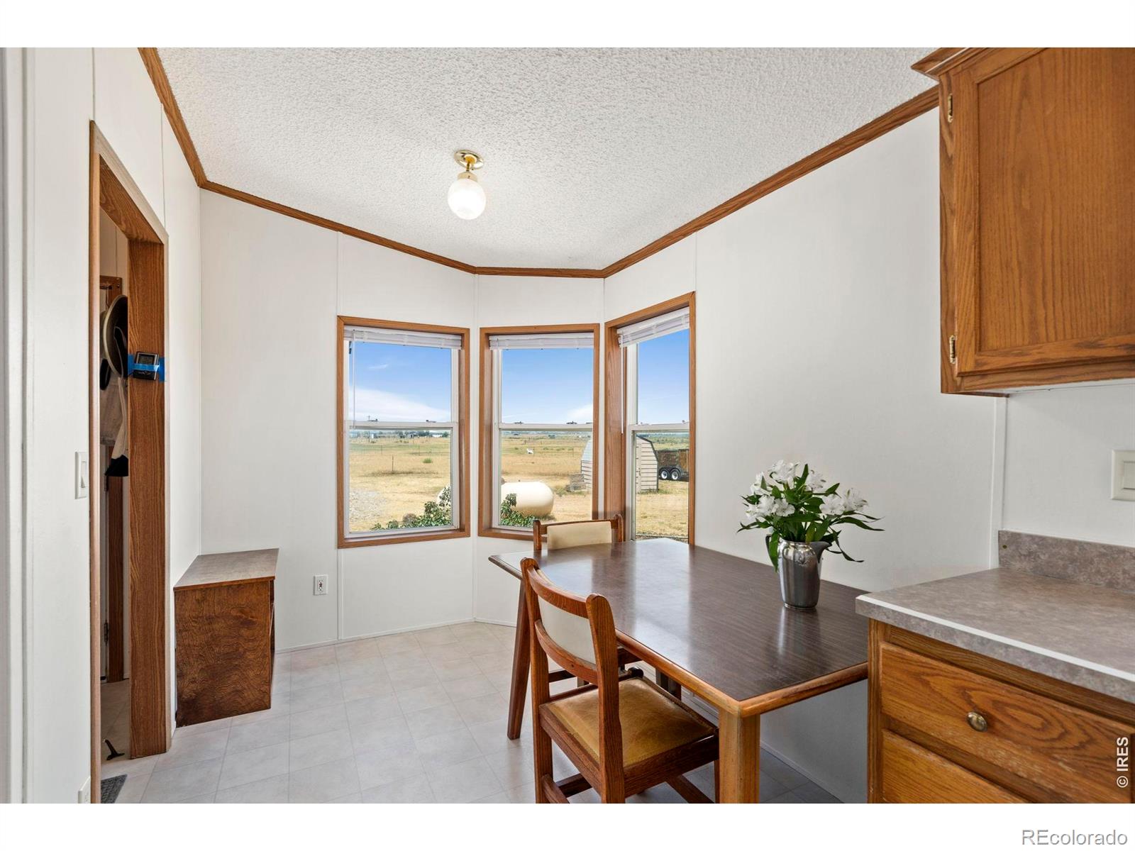 MLS Image #13 for 7622 n county road 19 ,fort collins, Colorado