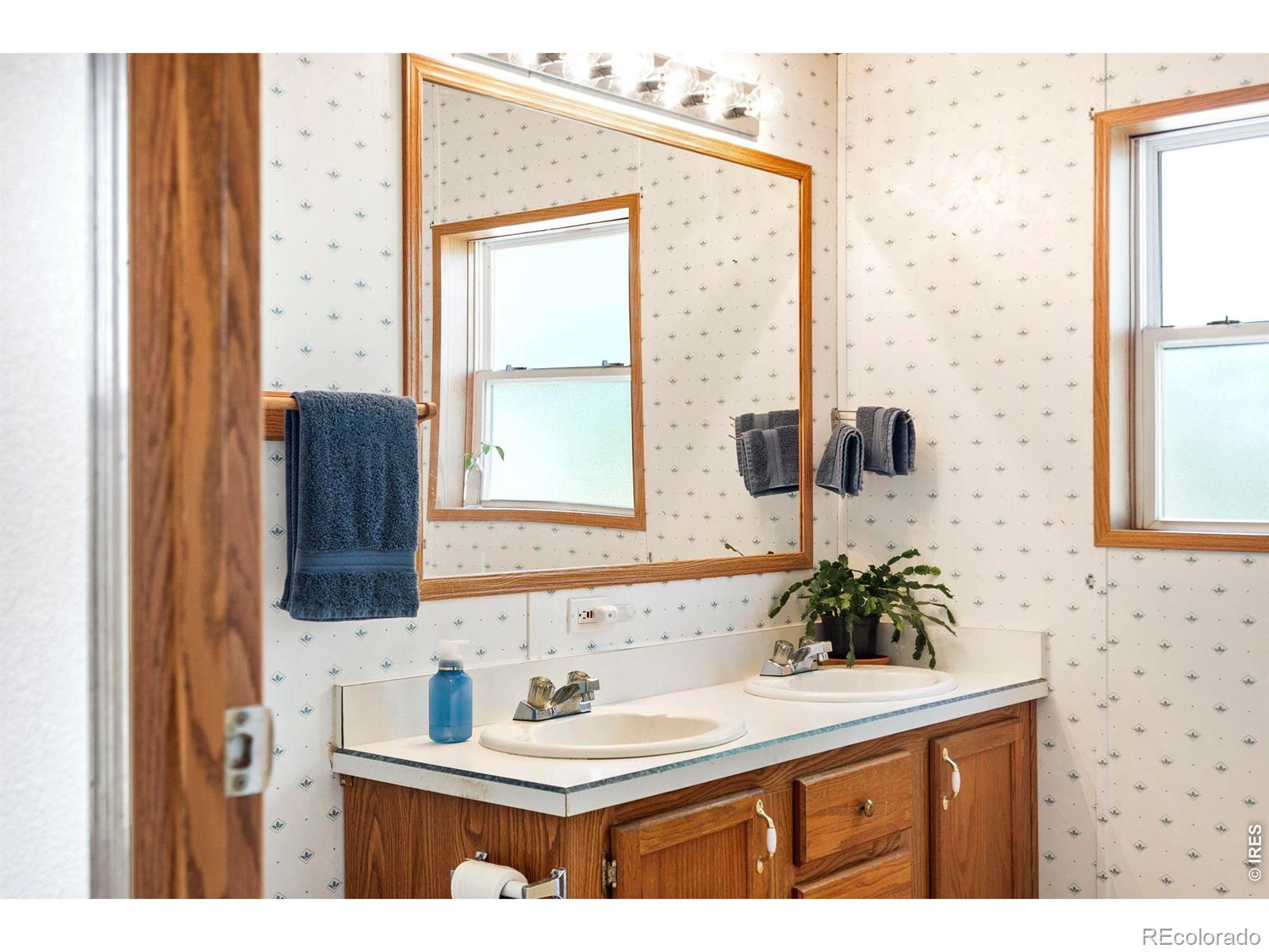 MLS Image #17 for 7622 n county road 19 ,fort collins, Colorado