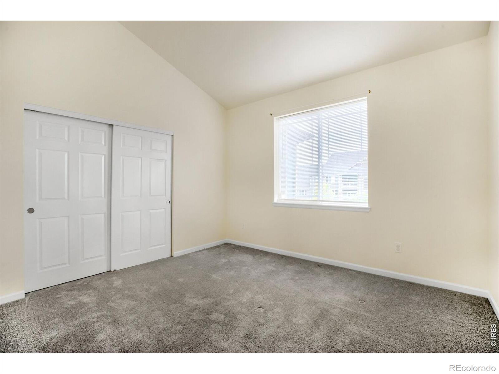 MLS Image #12 for 804  summer hawk drive,longmont, Colorado