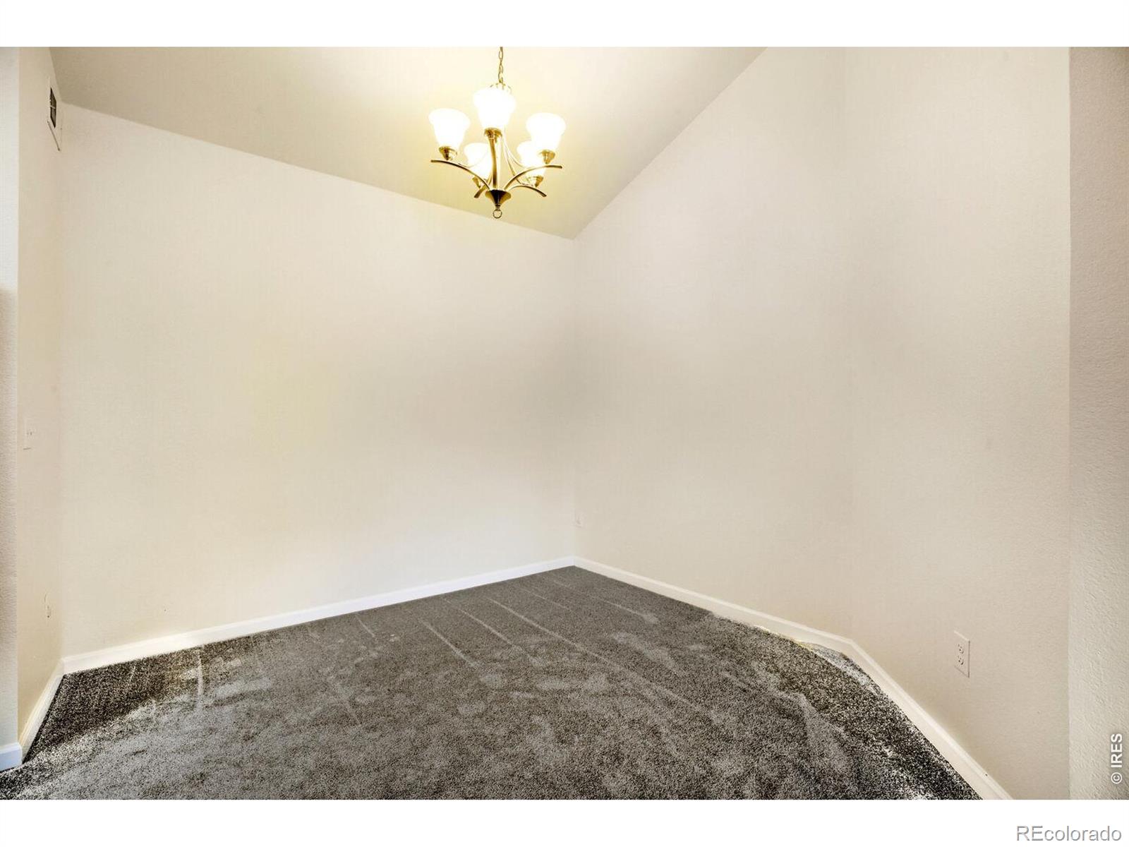 MLS Image #7 for 804  summer hawk drive,longmont, Colorado